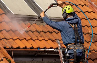Démoussage et hydrofuge de toiture à Lhommaizé